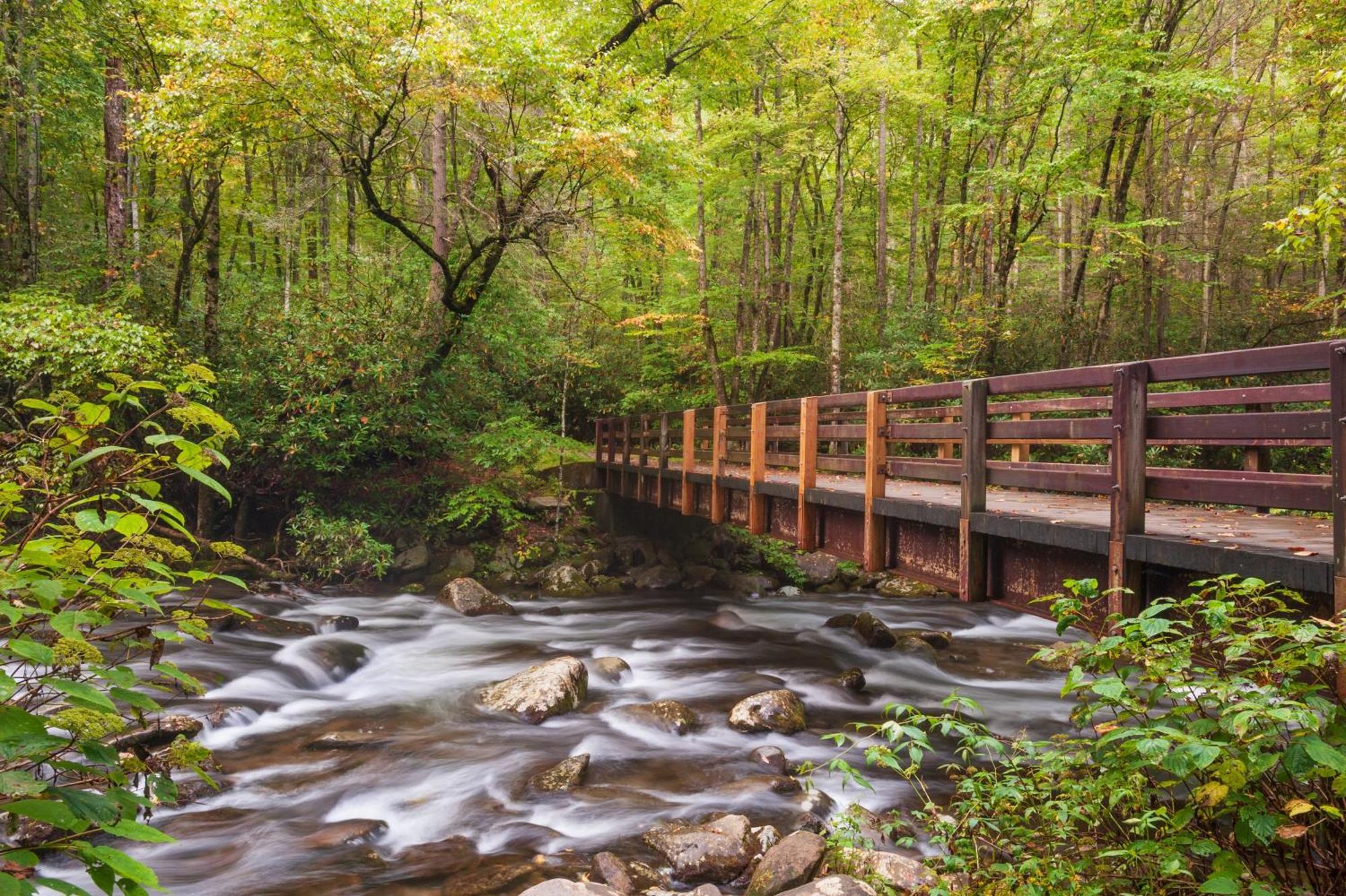 A Stones Throw, You Get 1089 Free Attraction Tickets Per Paid Day, Dollywood And Much More! Pigeon Forge Exterior foto